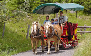 In den Sommerferien in Filmoos mit der Kutsche durch die Berge von Salzburg