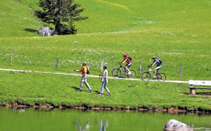 Mountainbiken in Filzmoos